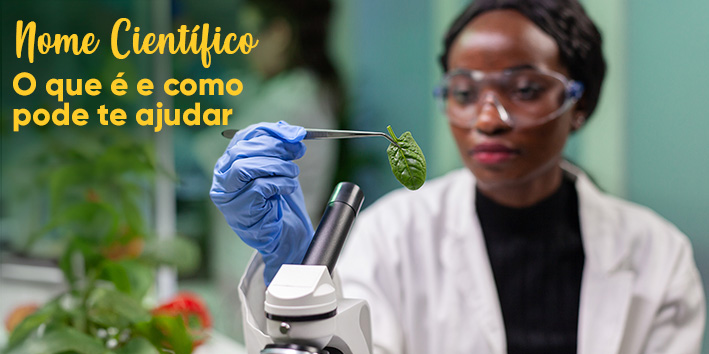 Nome cientfico: O que  e como pode te ajudar